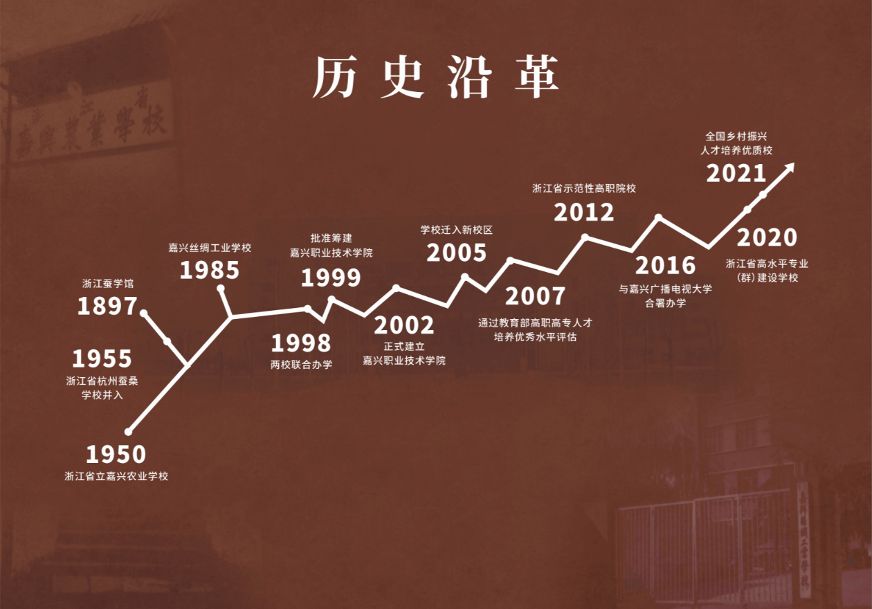 历史沿革