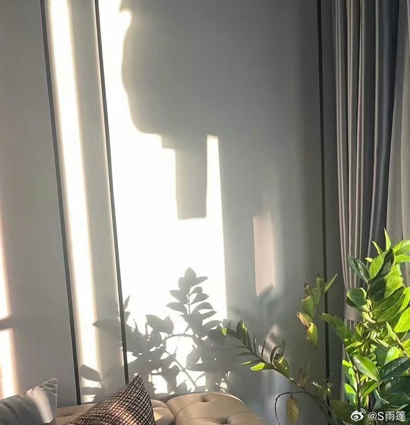 365贺子的第一个视频,那个手忙脚乱的清晨,如何成了千万人心里的一束光 365贺子的第一个视频,那个手忙脚乱的清晨,如何成了千万人心里的一束光