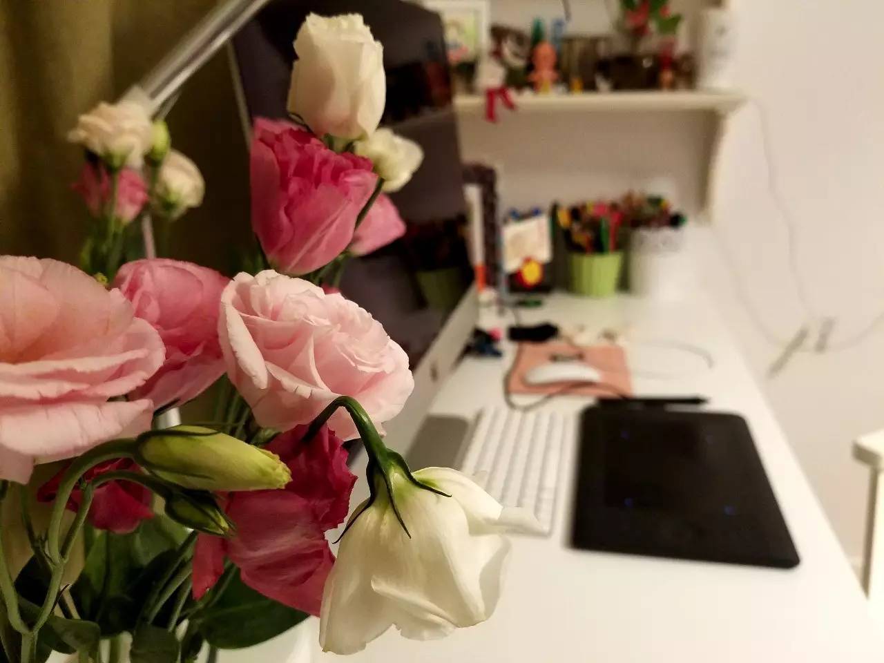 365贺子的第一个视频,那个手忙脚乱的清晨,如何成了千万人心里的一束光 365贺子的第一个视频,那个手忙脚乱的清晨,如何成了千万人心里的一束光